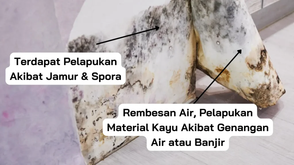 Beralihlah ke Lemari Besi Anti Jamur dan Rayap. Bye Bye Jamur di Lemari Pakaian. Belinya di Imah Furniture!